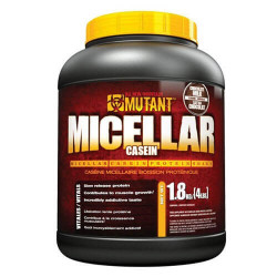 Zdjecie
