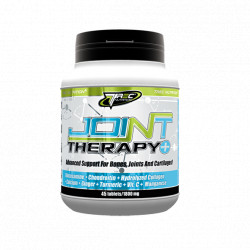 Trec - Joint Therapy Plus - 45 tab.