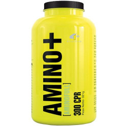 4+Nutrition - AMINO+ - 300 kaps.